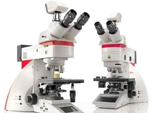 Microscope · Confocal